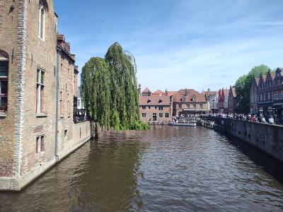 BRUGES (Belgique)