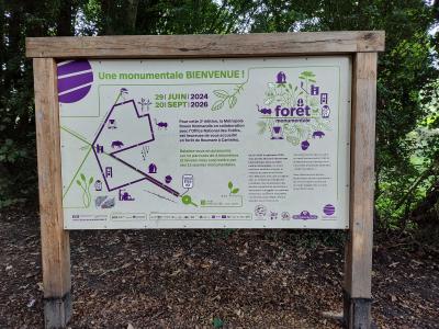 Forêt monumentale