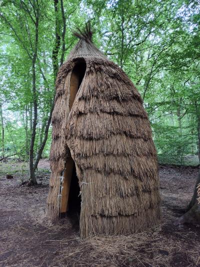Forêt monumentale