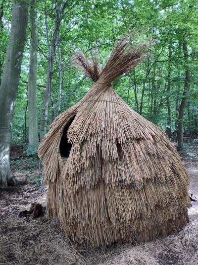 Forêt monumentale