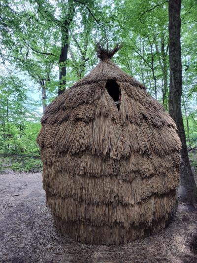 Forêt monumentale