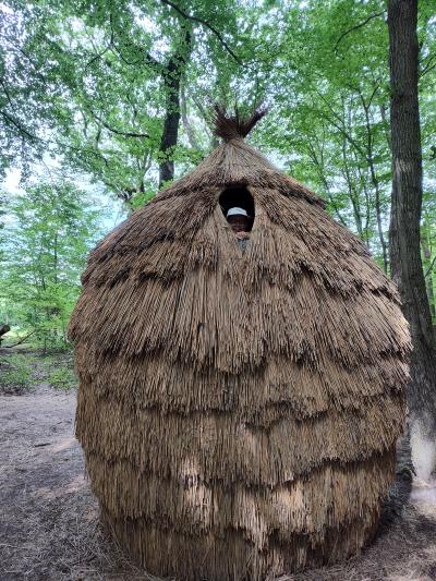 Forêt monumentale