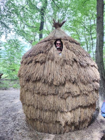 Forêt monumentale