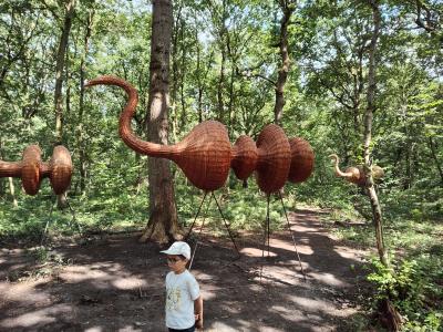 Forêt monumentale