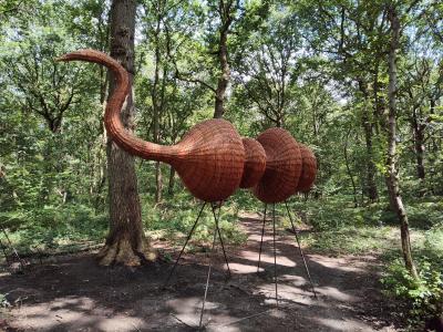 Forêt monumentale