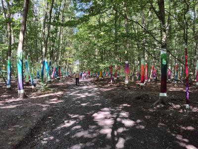 Forêt monumentale