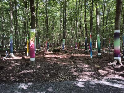 Forêt monumentale