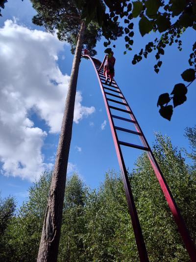 Forêt monumentale