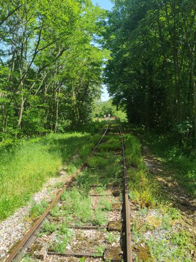 Vélo-rail