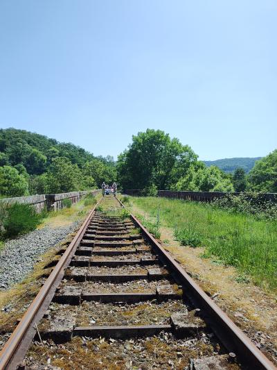 Vélo-rail