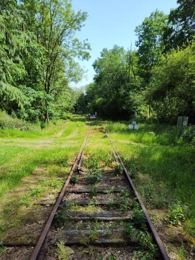 Vélo-rail
