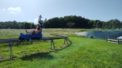Luge